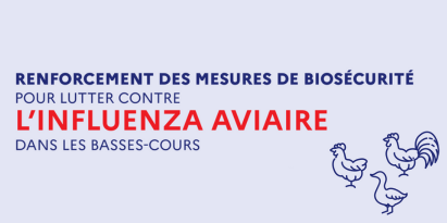 Grippe aviaire site internet (411 x 205 px)